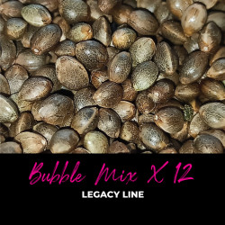 Bubble Mix x12 - Graines de cannabis régulières - Mix