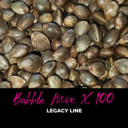 Bubble Mix x100 - Semi di cannabis regolari - Mix