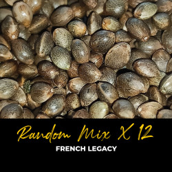 Random Mix x12 - Semi di cannabis regolari - Mix