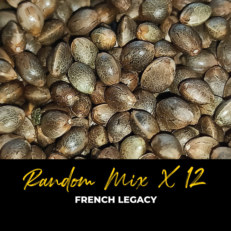 Random Mix x12 - Regular Cannabis Seeds - Mix