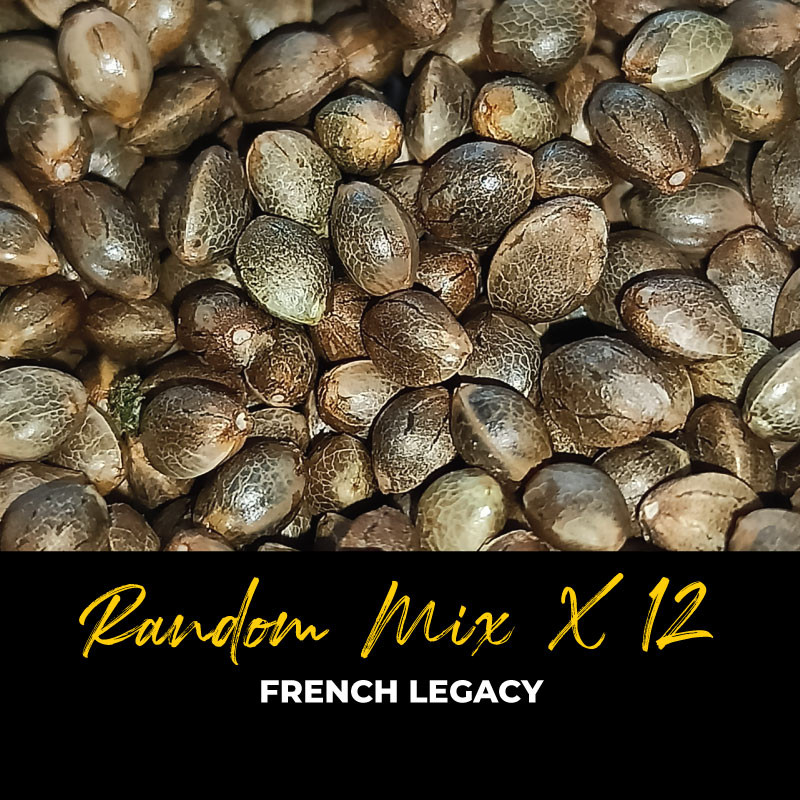 Random Mix x12 - Semillas de marihuana regulares - Mix Random Mix x12 - Semillas de marihuana regulares - Mix