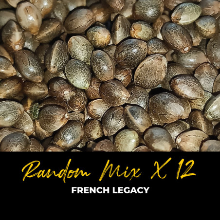 Random Mix x12 - Graines de cannabis régulières - Mix