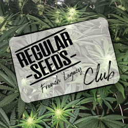 Join the club - Club regular cannabis seeds - - 3 free seeds from r