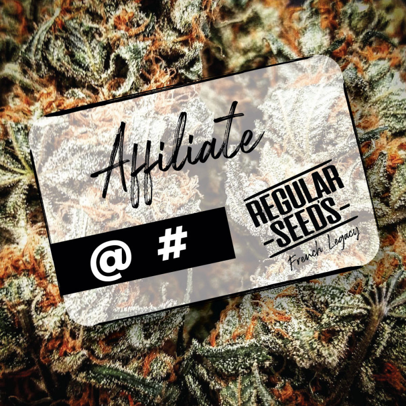 Become an affiliate - Regular Cannabis Seeds - Distribution