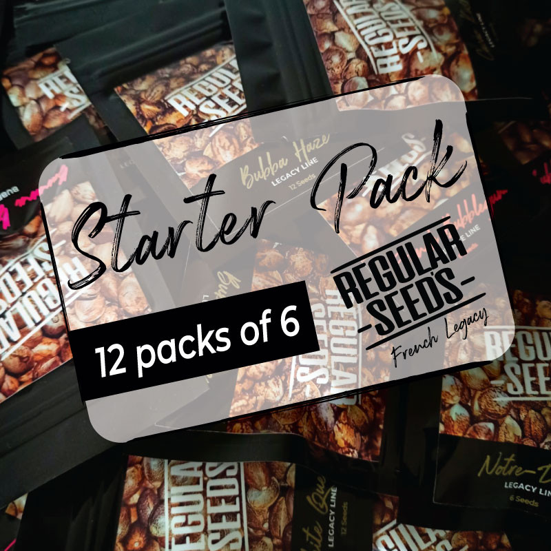 Distributor Starter Pack - Regular Cannabis Seeds - Distribution