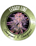 Legacy Line cannabis regular seeds - REGULAR SEED'S