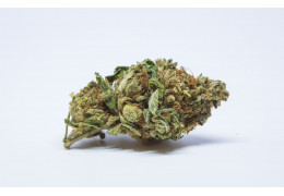 Jack the Ripper