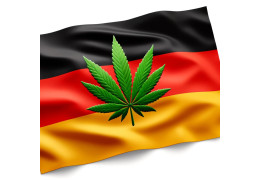 Cannabis Legalization in Germany: A New Chapter for Europe - Regular Seeds